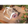 Drevený box na pozorovanie hmyzu – Fairy Garden