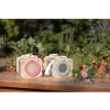 Drevený box na pozorovanie hmyzu – Forest Friends