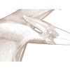 Detail motivu tapety Dinosauři sépie