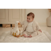 Plyšová hus s aktivitami Newborn Naturals